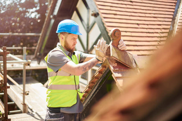 Best Roof Gutter Cleaning  in Yelm, WA
