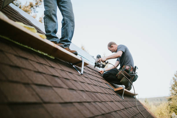Best Metal Roofing Contractor  in Yelm, WA